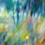 Chaos In The Meadow, thumbnail 6 of 8