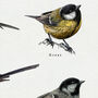 British Tits/Garden Birds Artwork Print, thumbnail 7 of 9