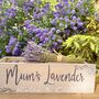 Personalised Lavender Garden Window Box, thumbnail 5 of 8