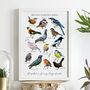 Personalised British Garden Birds Artwork, thumbnail 1 of 7