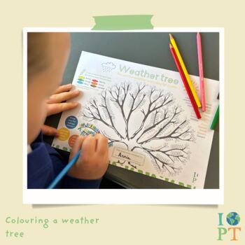 Children's Eco Activity Box: Wild Weather, 9 of 12