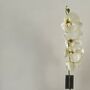Single Stem White Orchard, thumbnail 2 of 5