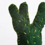 Easy Care Cactus Felt Craft Kit, thumbnail 6 of 10