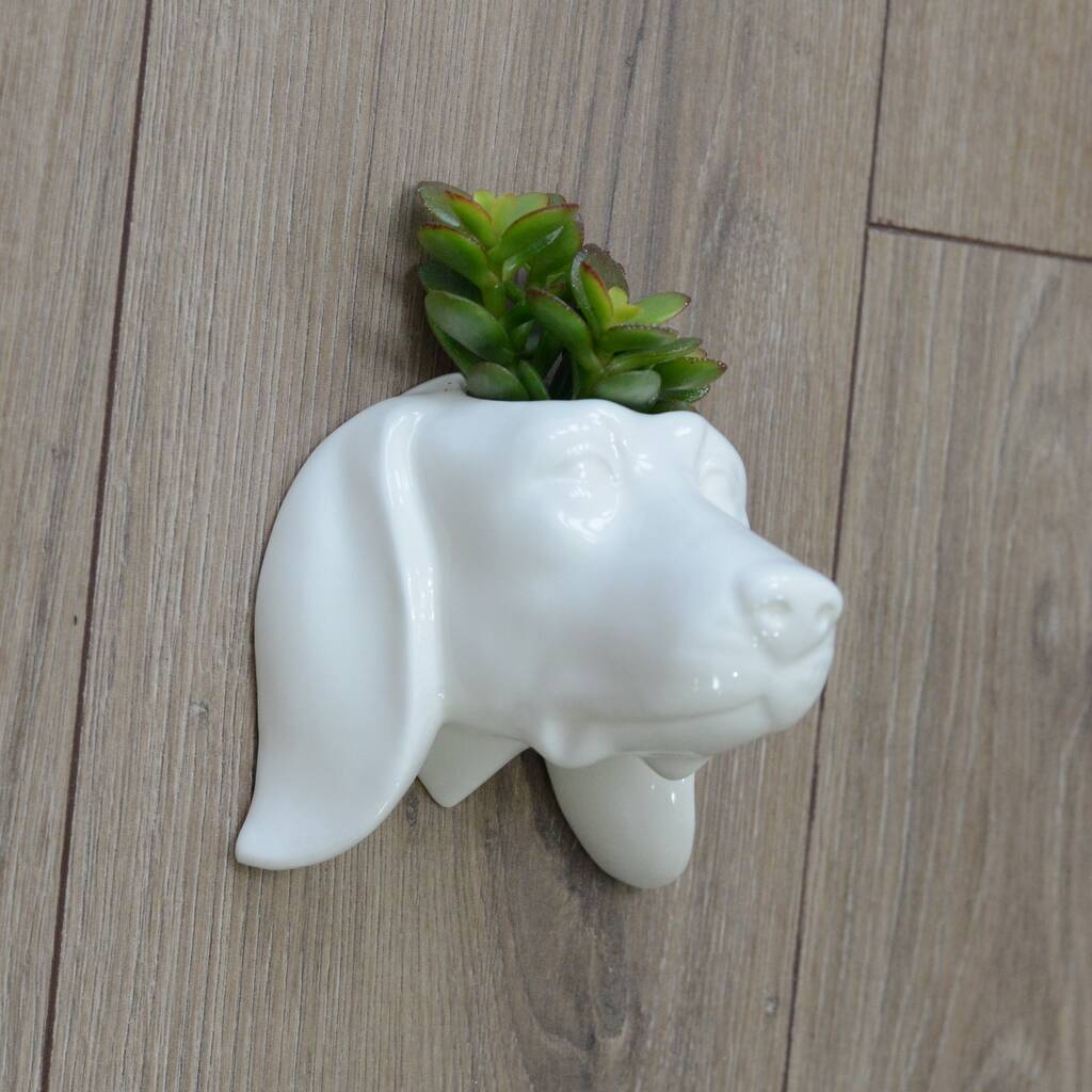 dog head wall hanging planter with choice of plant by dingading