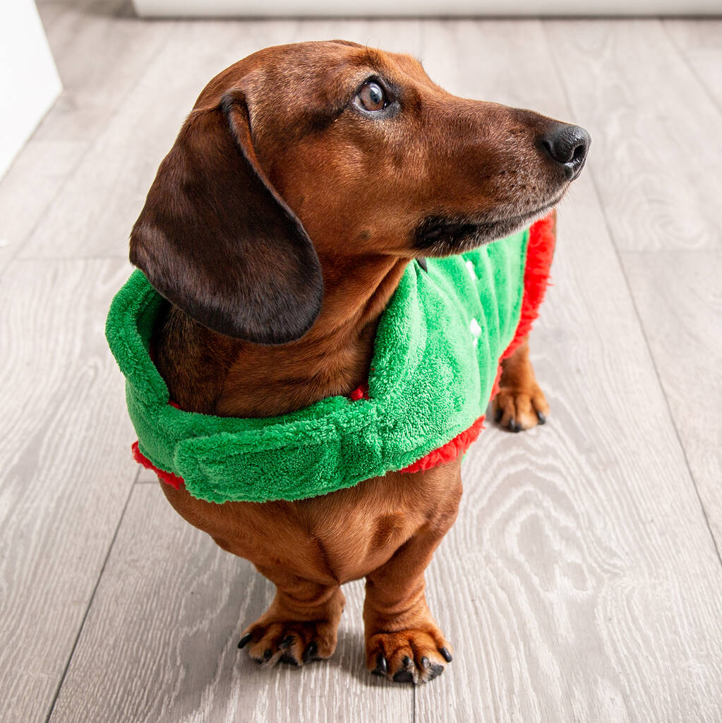 Personalised Christmas 'santa's Little Yelper' Dog Coat By Poppy K