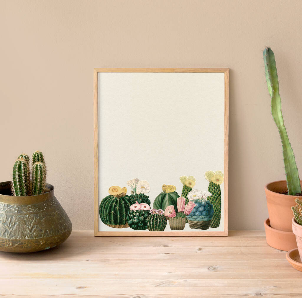 Cactus Garden Botanical Art Print, 1 of 12