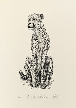 C Is For Cheetah Illustration Print, 4 of 6