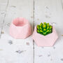Pink Jesmonite Mini Planters And Tray, thumbnail 5 of 10