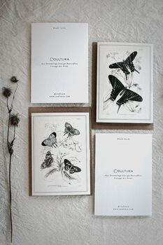 Colour Butterfly Greeting Cards – Set Of Four Vintage A6 Designs, 7 of 11
