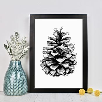 Fir Cone Drawing Print, 2 of 2