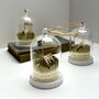 Personalised Camping Under The Stars Glass Dome Gift, thumbnail 5 of 10
