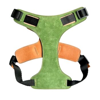 Green Leather Dog Harness, 4 of 5