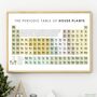Gardening Lover Periodic Table Of House Plants Print, thumbnail 3 of 3
