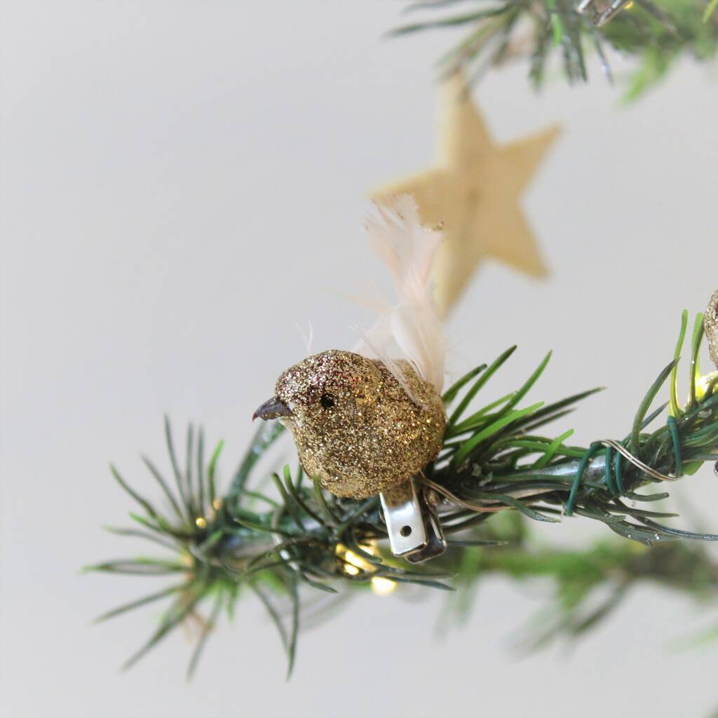 Set Of Four Glitter Clip On Bird Decoration By Ella James