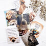 Cocker Spaniel Lovers Tea Gift | Dog Lovers Gift, thumbnail 2 of 12