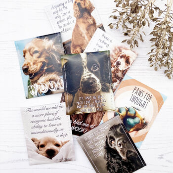 Cocker Spaniel Lovers Tea Gift | Dog Lovers Gift, 2 of 12