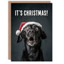 Black Labrador Photograph Dog In Santa Hat Funny Christmas Card, thumbnail 1 of 4