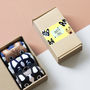 Dotty Dog Socks In A Box, thumbnail 1 of 3