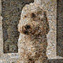 Personalised Portrait For Pet Lovers, thumbnail 2 of 12