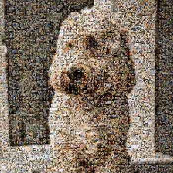 Personalised Portrait For Pet Lovers, 2 of 12