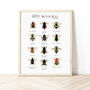 British Bees Poster, thumbnail 1 of 5