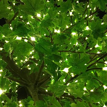 Grande LED Maple Tree, 4 of 4