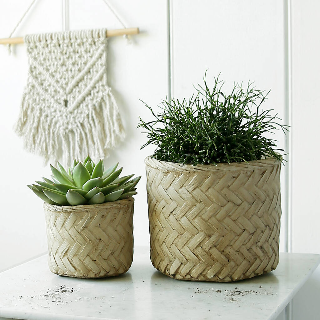 Concrete Basket Style Plant Pot By Clem & Co | notonthehighstreet.com