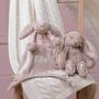 Personalised Beige Blossom Bunny Comforter And Soft Toy, thumbnail 1 of 4