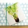 Fern Greetings Card, thumbnail 1 of 5
