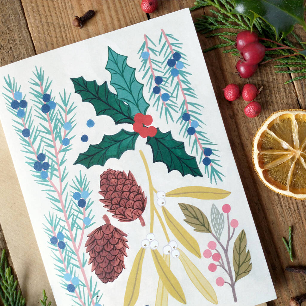 Pack Of Six Botanical Christmas Cards By Claire Tuxworth Illustration ...