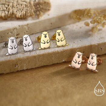 Sterling Silver Groundhog Stud Earrings, 6 of 12