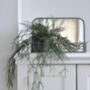Small Mirror With Wire Shelf, thumbnail 2 of 2