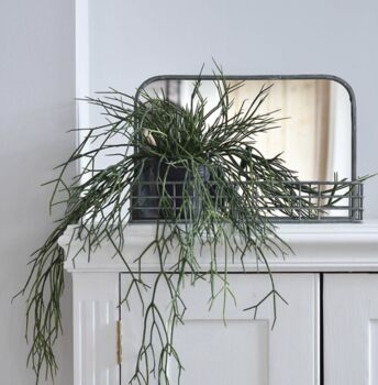 Small Mirror With Wire Shelf, 2 of 2