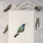 Sparkling Violetear Hummingbird Giclée Art Print, thumbnail 4 of 7