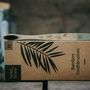 Adult Bamboo Toothbrush Pack, thumbnail 6 of 11