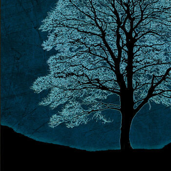 Ghost Tree, Fine Art Print, 4 of 4