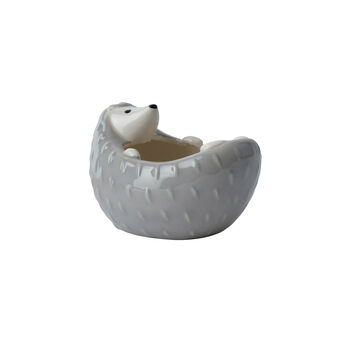 Send With Love Hedgehog Trinket Bowl In Gift Box, 3 of 5