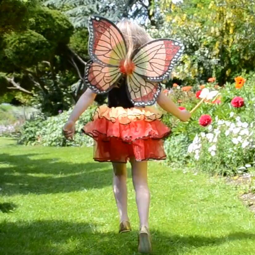 butterfly fairy dress up 3yrs+ by alice frederick | notonthehighstreet.com