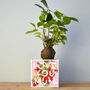 'Love You Mum' Mother's Day Plant Pot And Houseplant, thumbnail 2 of 7