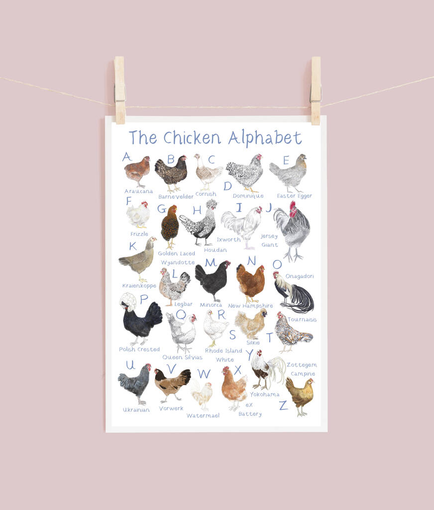 The Chicken Alphabet Art Print, Hen A Z Art Print By Rebekah Marshall ...