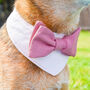 Pink Dog Wedding Suit Bandana, thumbnail 1 of 6