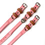 Pink Collar And Lead Set, thumbnail 4 of 5