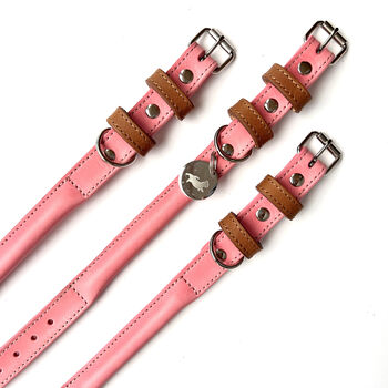 Pink Collar And Lead Set, 4 of 5
