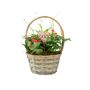 Christmas Plant Basket Rose, Peace Lily And Kalanchoe Gift Set, thumbnail 2 of 3