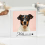 Pet Memorial Plaque, Dog Loss Gift, Cat Memorial Photo, thumbnail 3 of 4