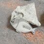 Personalised Sterling Silver Fish Shaped Cat Tag, thumbnail 4 of 7