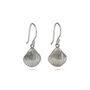 Sterling Silver Shell Earrings, thumbnail 3 of 4