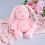 Personalised Pink Baby Girl Bunny Soft Toy, thumbnail 1 of 5