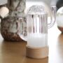 Cactus Storm Glass Weather Predictor, thumbnail 1 of 3