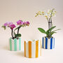 Small Stripy Scalloped Pot Choose Your Colours, thumbnail 5 of 11